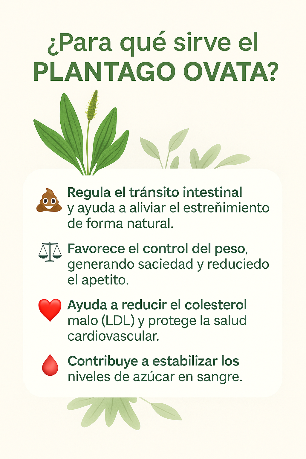 NATURAL PLANTAGO FIBER